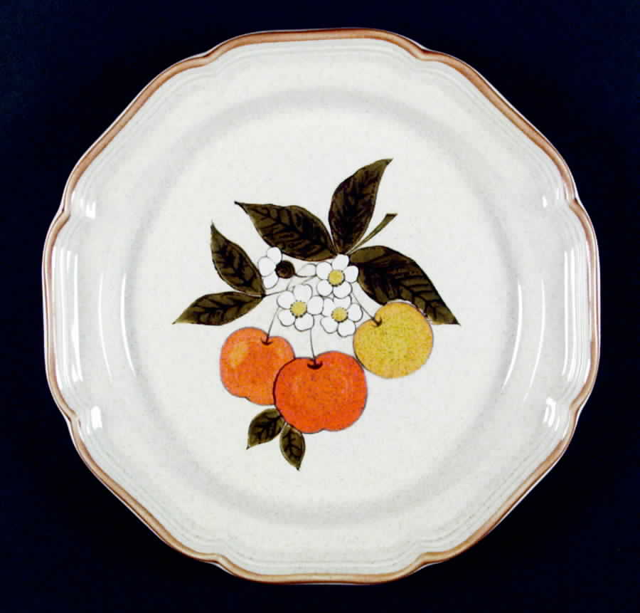 Delight Dinner Plate by Mikasa-1