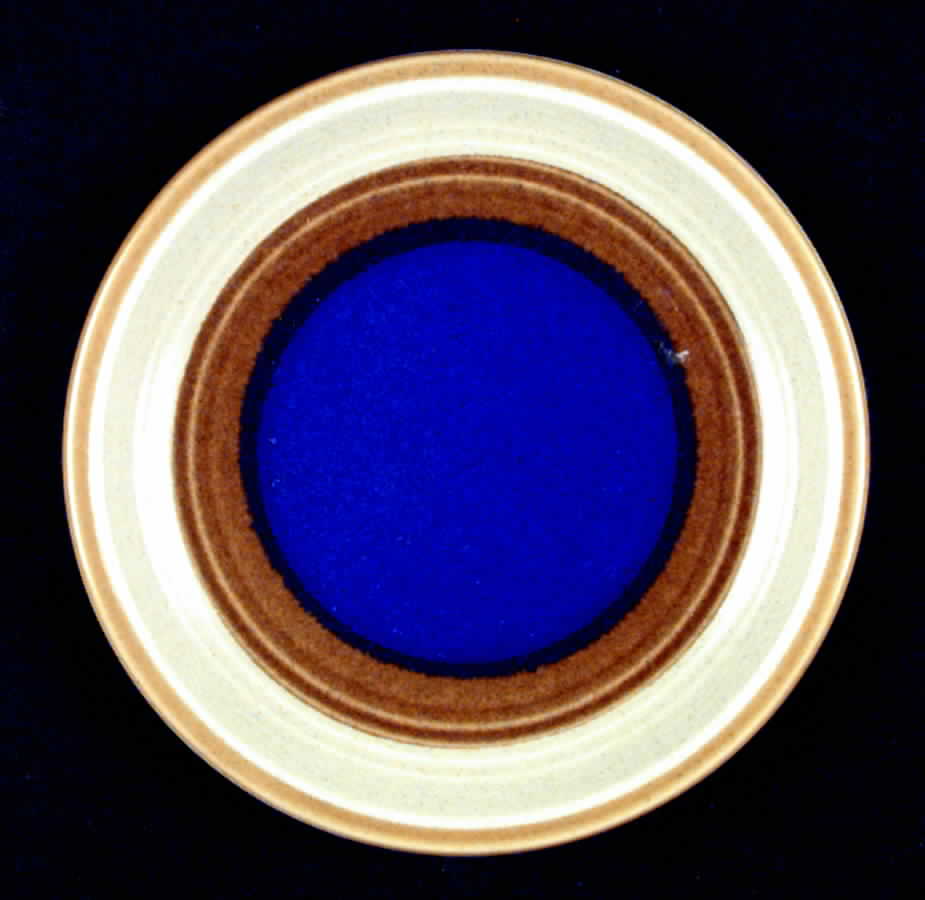 Deep Sea Salad Plate by Mikasa-1