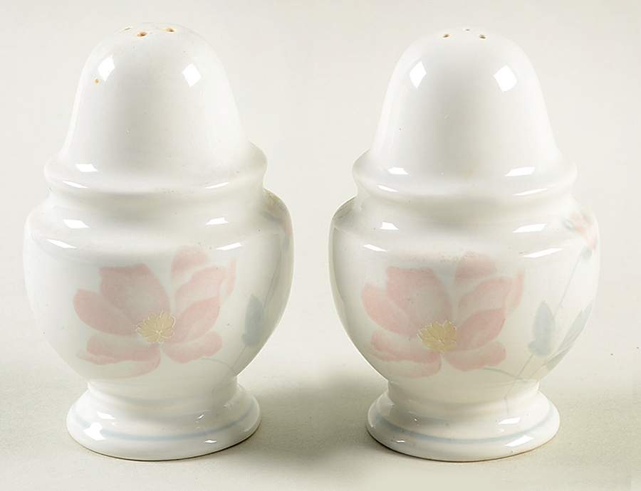 Dialogue Salt & Pepper Set by Mikasa-1