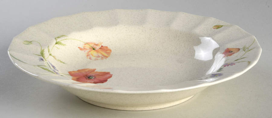 Duet Rim Soup Bowl by Mikasa-1