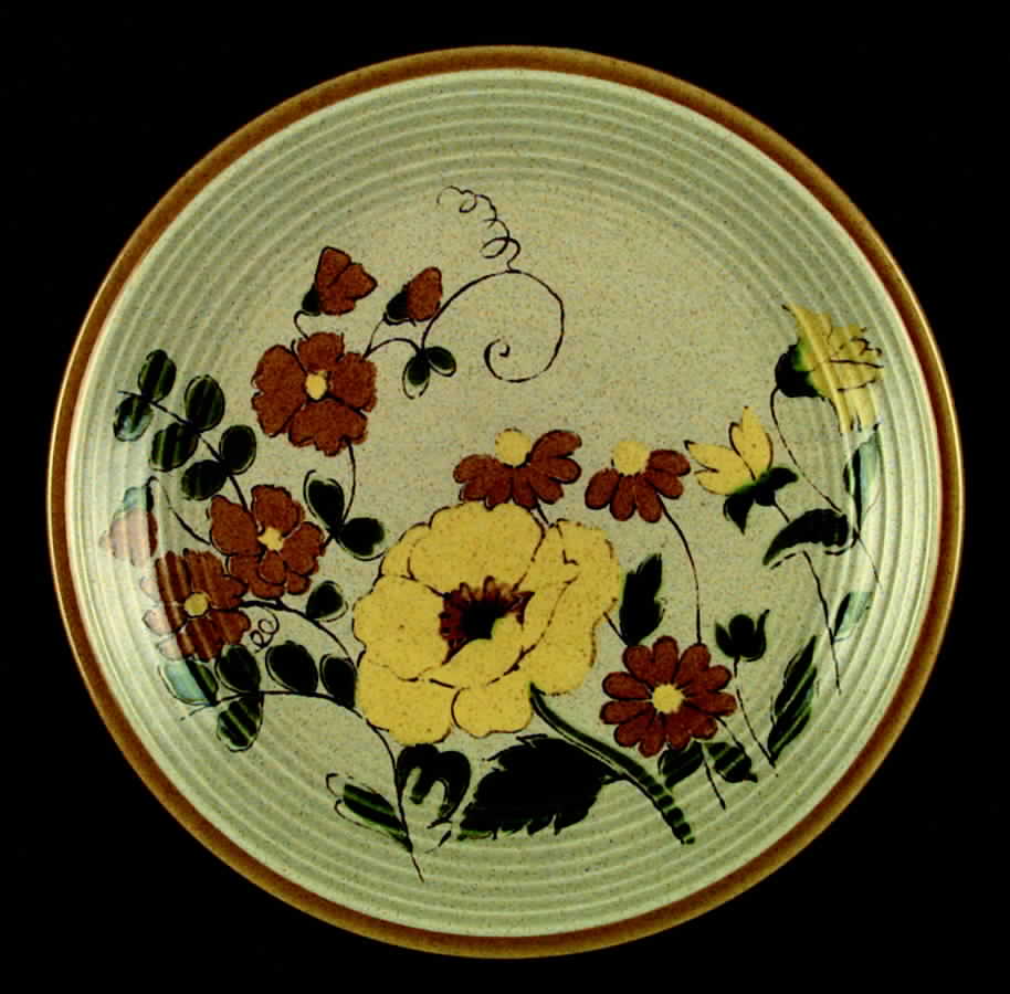 Earthborne Dinner Plate by Mikasa-1