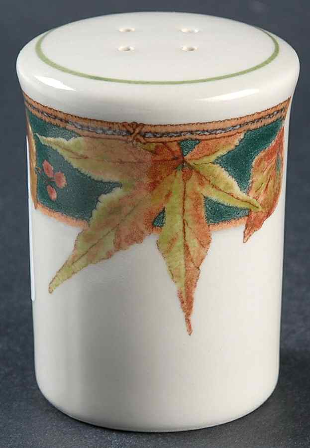 Ecology Salt Shaker by Mikasa-1
