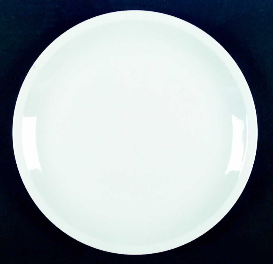 Epiqure White Dinner Plate by Mikasa-1