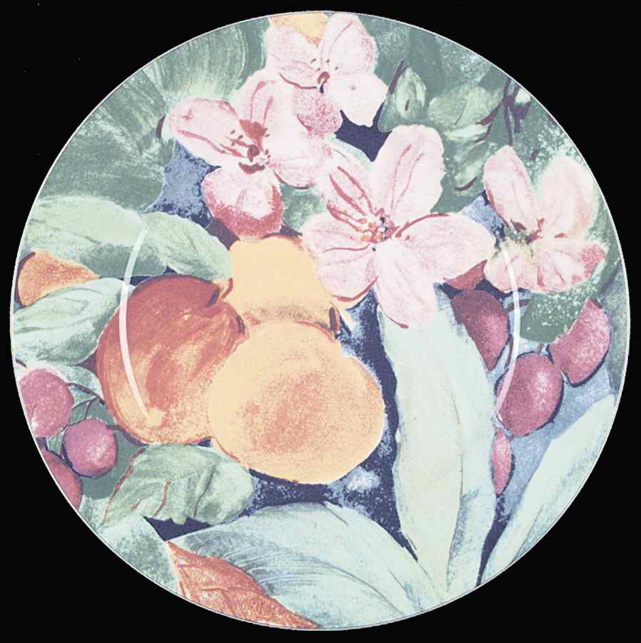 Exotic Garden Service Plate (Charger) by Mikasa-1