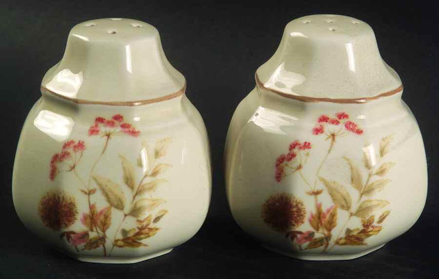 Ferndale Salt & Pepper Set by Mikasa-1