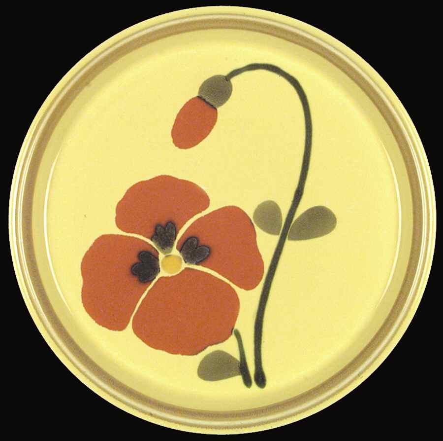Flambe Dinner Plate by Mikasa-1