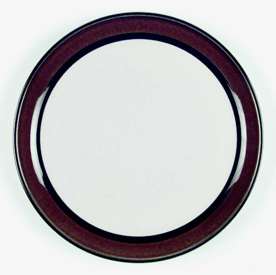 Freeport Caribbean Dinner Plate by Mikasa-1