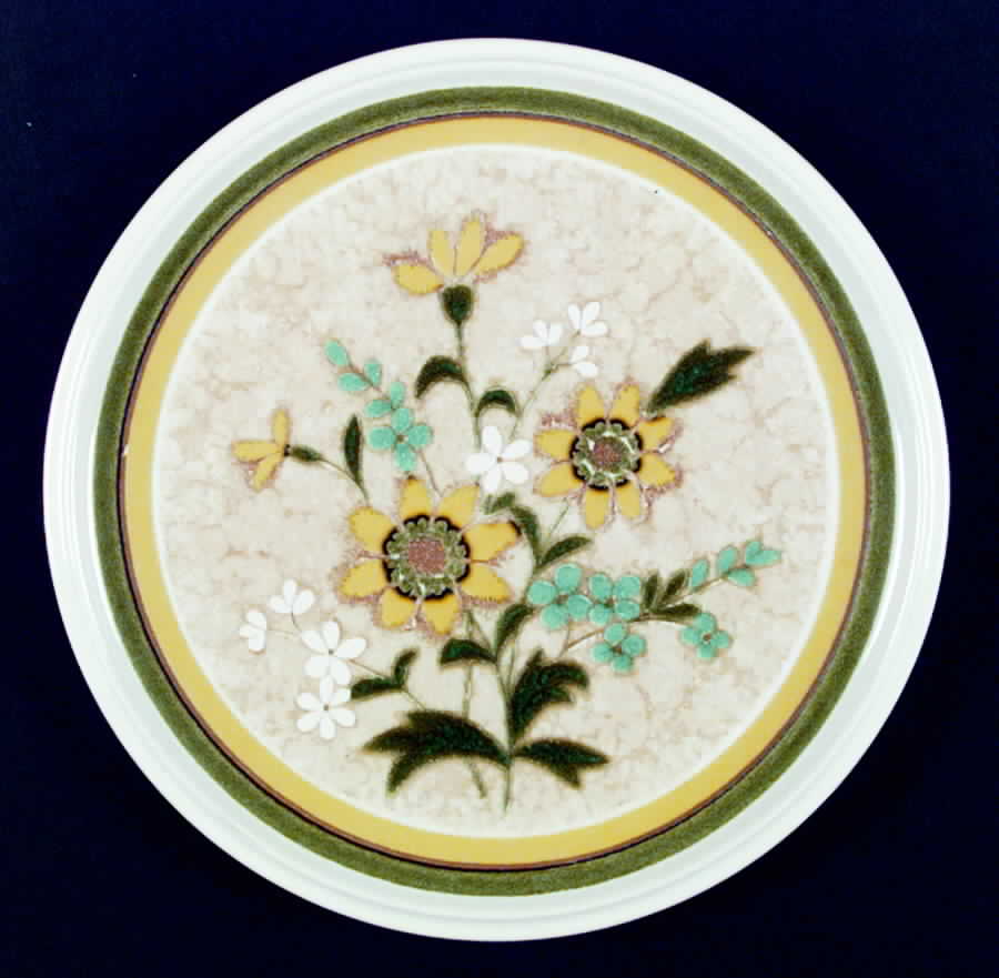 Freshness Dinner Plate by Mikasa-1