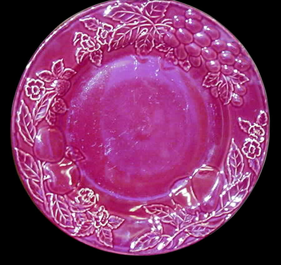 Fruit Promenade Cinnabar Dinner Plate by Mikasa-1