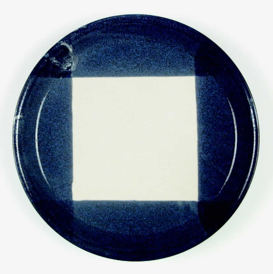 Free Style Dinner Plate by Mikasa-1