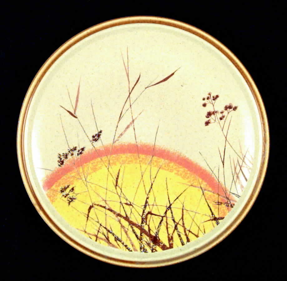 High Noon Salad Plate by Mikasa-1