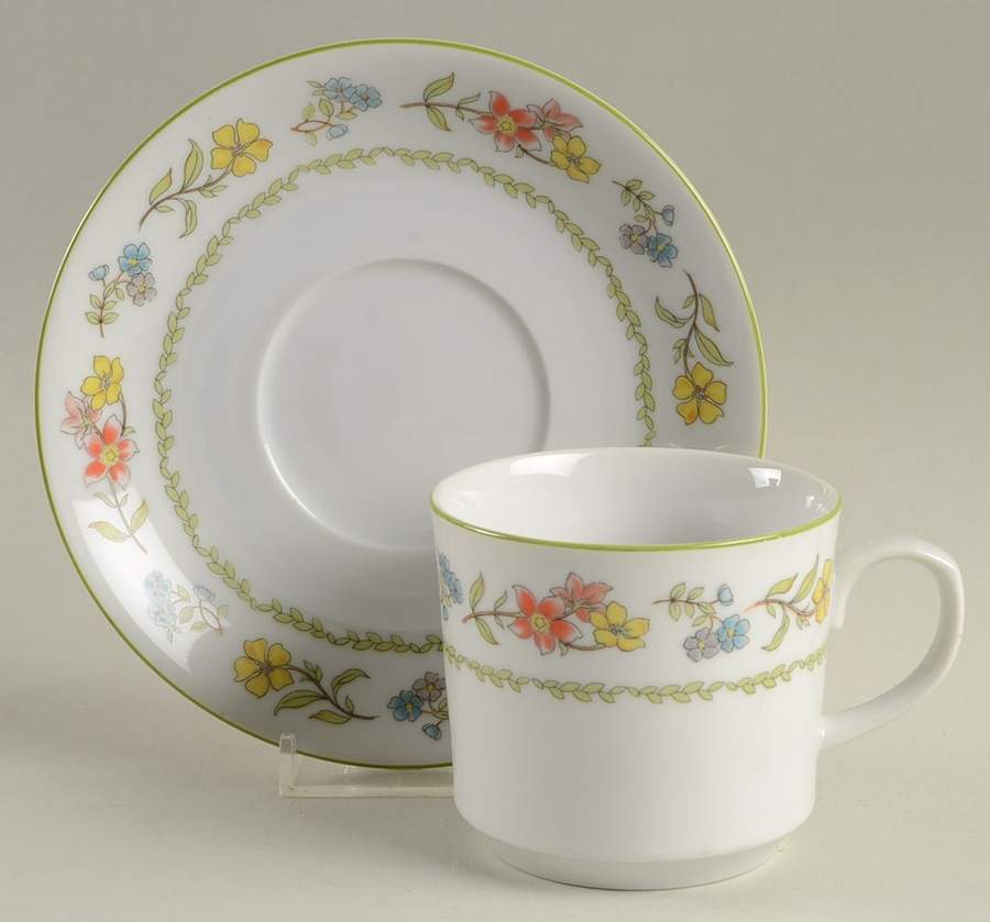 Holmby Hills Flat Cup & Saucer Set by Mikasa-1