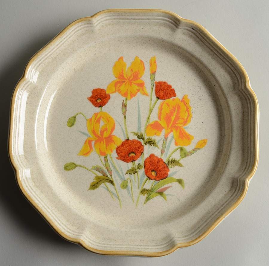Hybrid Dinner Plate by Mikasa-1