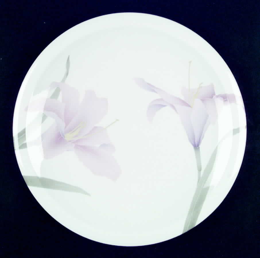 Images Dinner Plate by Mikasa-1