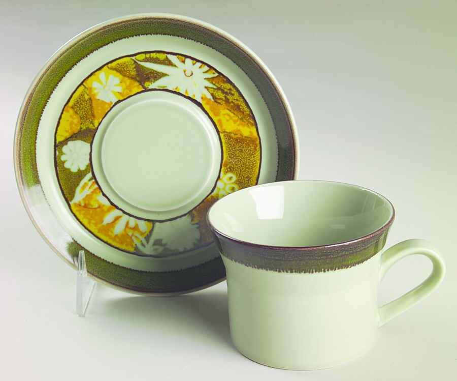 Indian Summer Flat Cup & Saucer Set by Mikasa-1