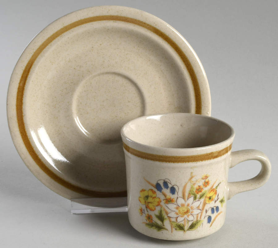 Indian Summer Flat Cup & Saucer Set by Mikasa-1