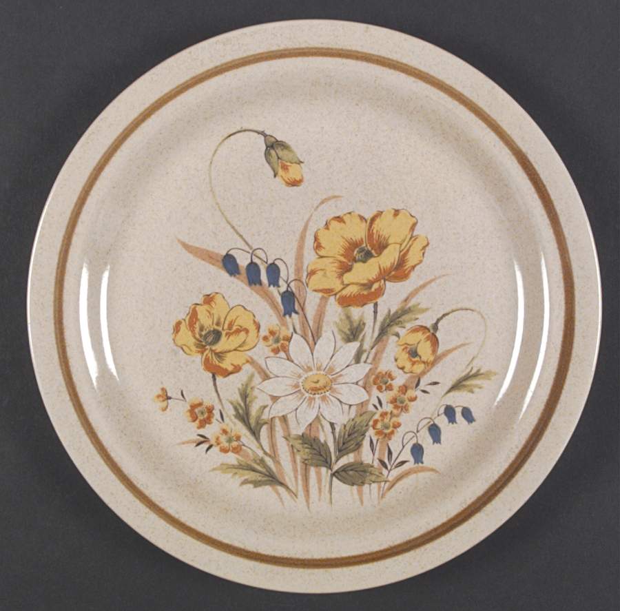 Indian Summer Dinner Plate by Mikasa-1