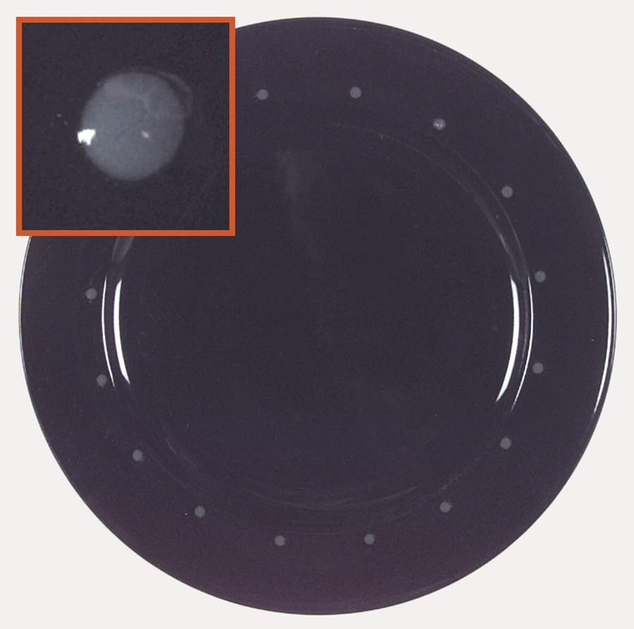 Jet Stone Green Dinner Plate by Mikasa-1