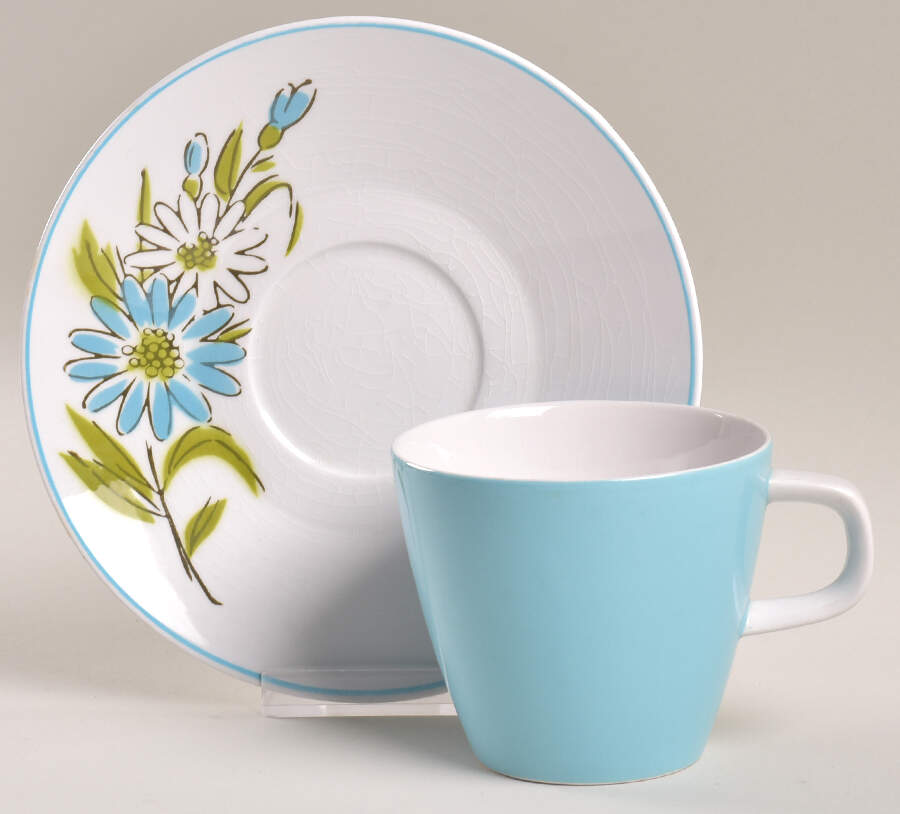 Kerry Blue Flat Cup & Saucer Set by Mikasa-1