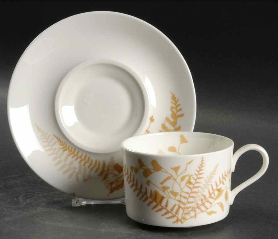 Lacy Fern Brown Flat Cup & Saucer Set by Mikasa-1