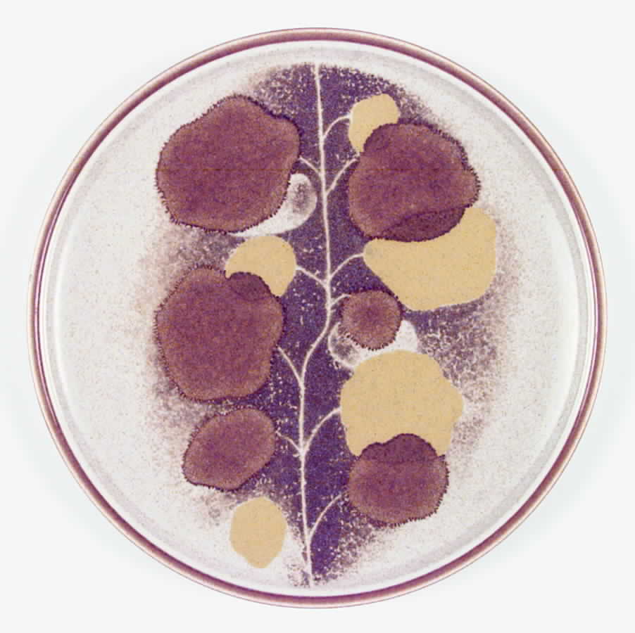 Leaf Song Dinner Plate by Mikasa-1