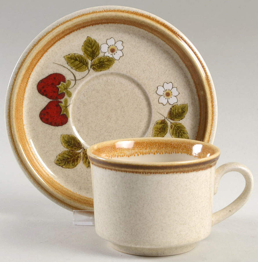 Luscious Flat Cup & Saucer Set by Mikasa-1