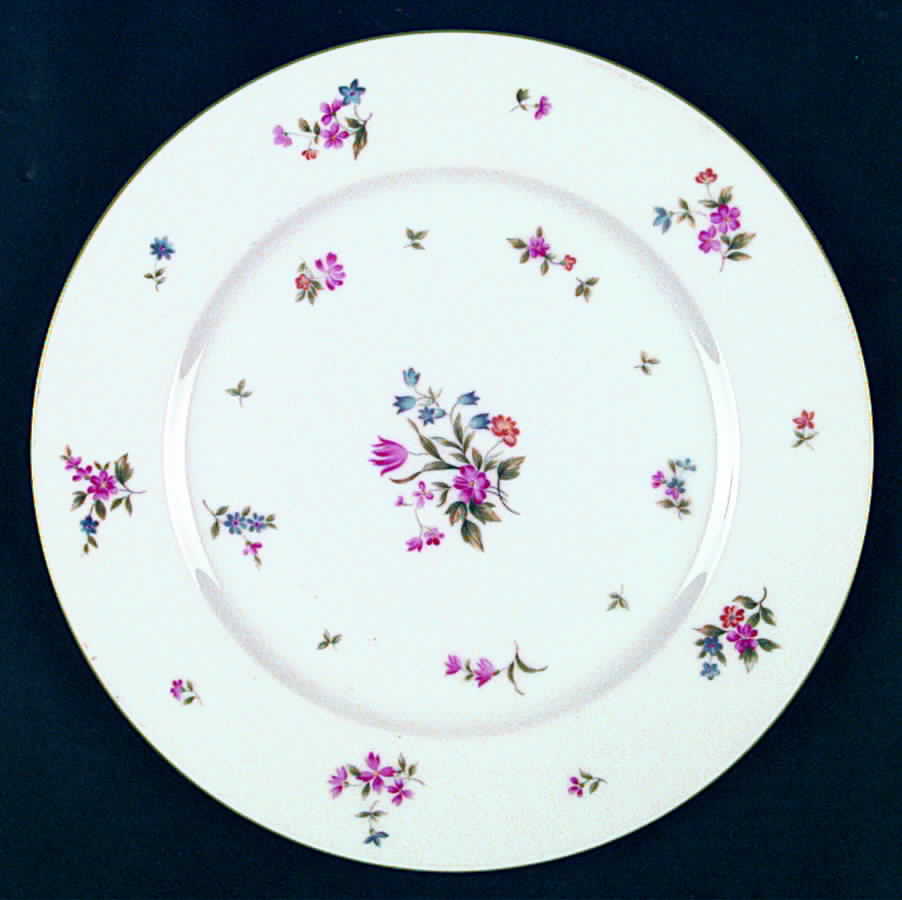 Marquette Dinner Plate by Mikasa-1