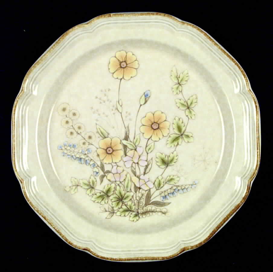 Meadow Dinner Plate by Mikasa-1
