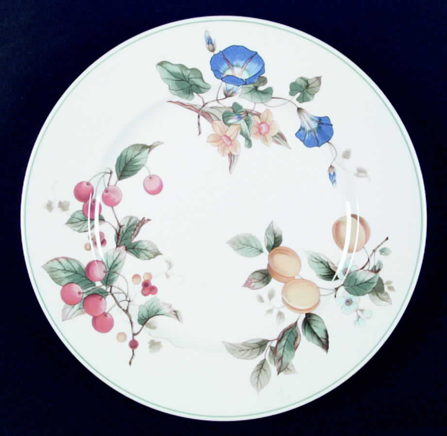 Meadow Gallery Dinner Plate by Mikasa-1