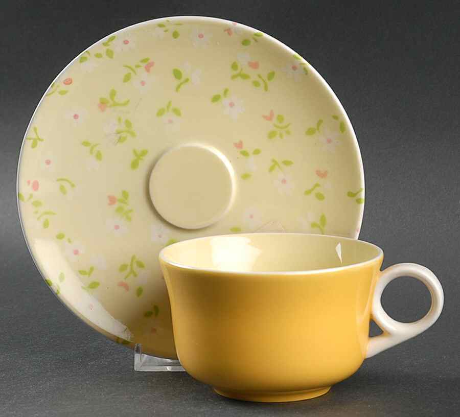 Meadow Song Flat Cup & Saucer Set by Mikasa-1
