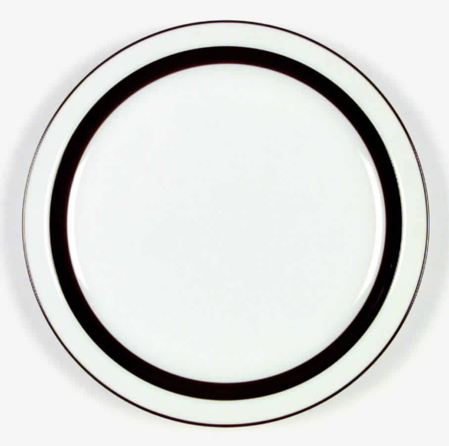 Metro Dinner Plate by Mikasa-1