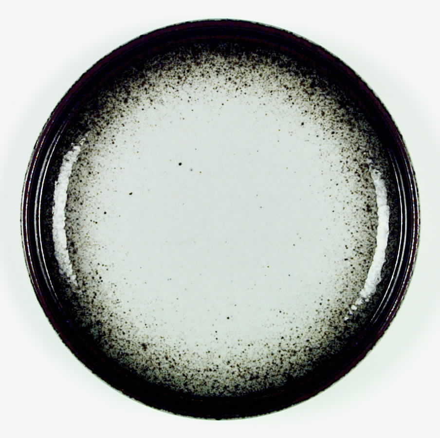 Mountain Mist Dinner Plate by Mikasa-1