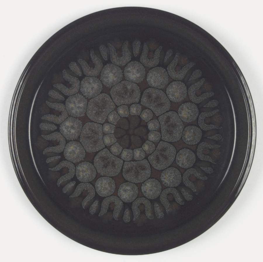 Mosaic Dinner Plate by Mikasa-1
