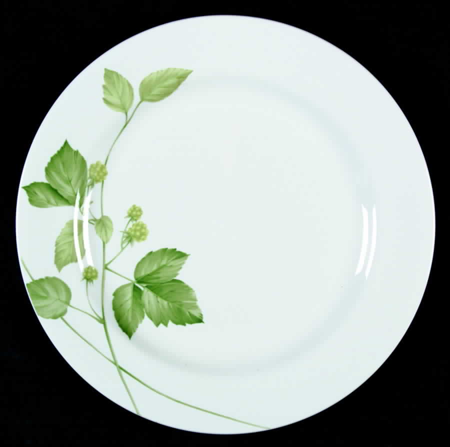Natural Beauty Dinner Plate by Mikasa-1
