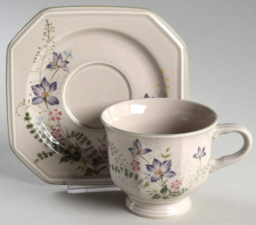 Natural Charms Footed Cup & Saucer Set by Mikasa-1