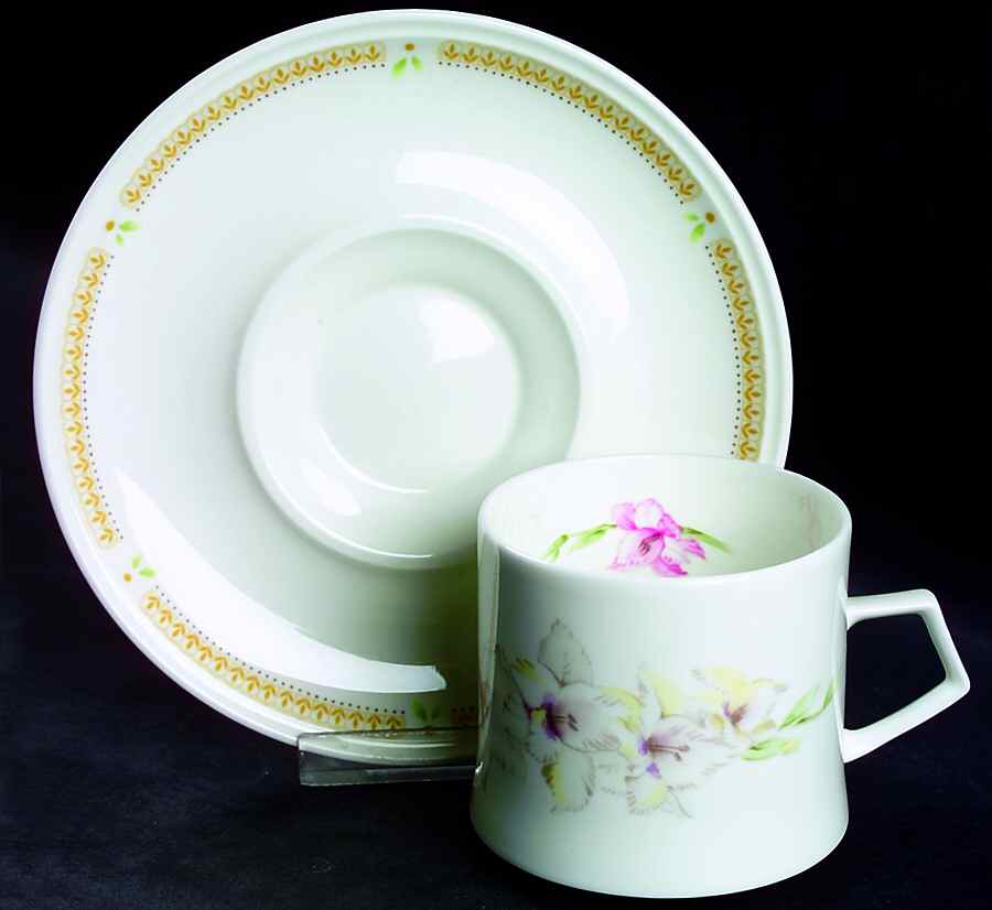 Nature's Garden Flat Cup & Saucer Set by Mikasa-1