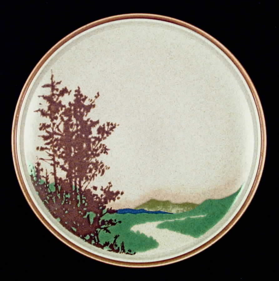 New Horizon Dinner Plate by Mikasa-1