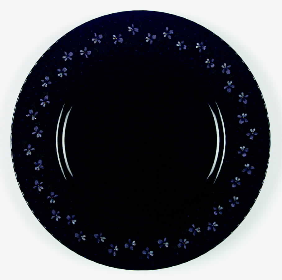Nightshades Dinner Plate by Mikasa-1