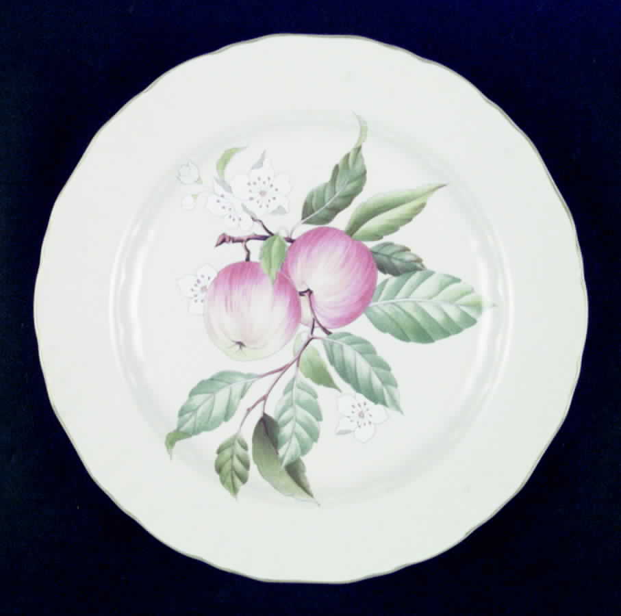 Norfolk Dinner Plate by Mikasa-1