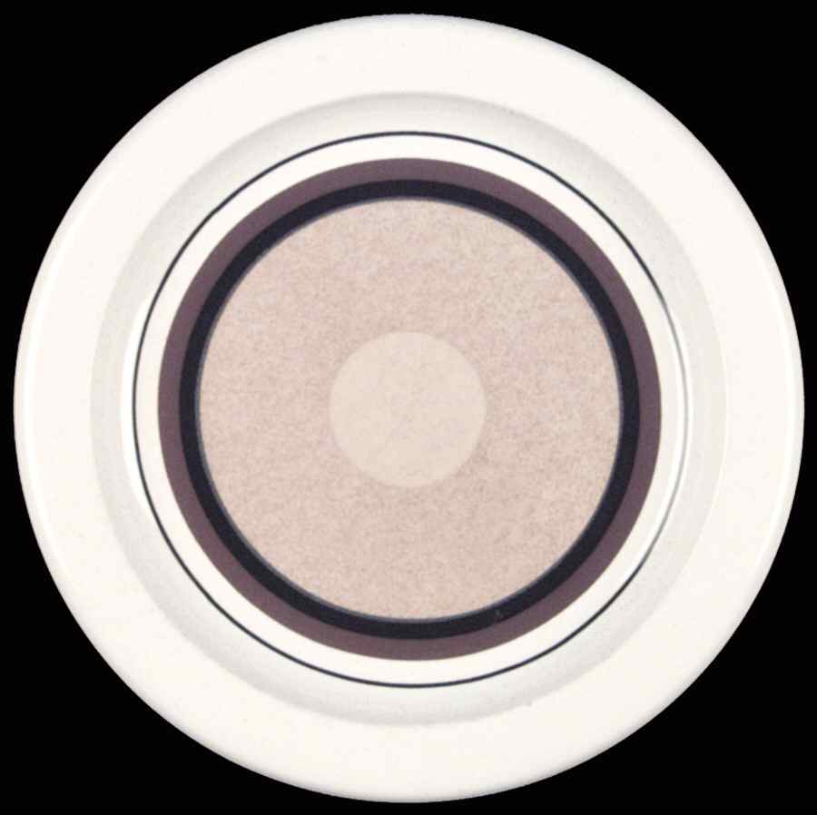 Oasis Dinner Plate by Mikasa-1