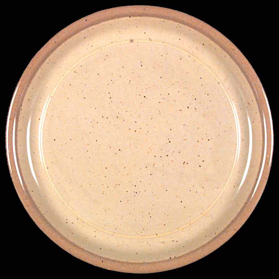 Ocean Breeze Dinner Plate by Mikasa-1