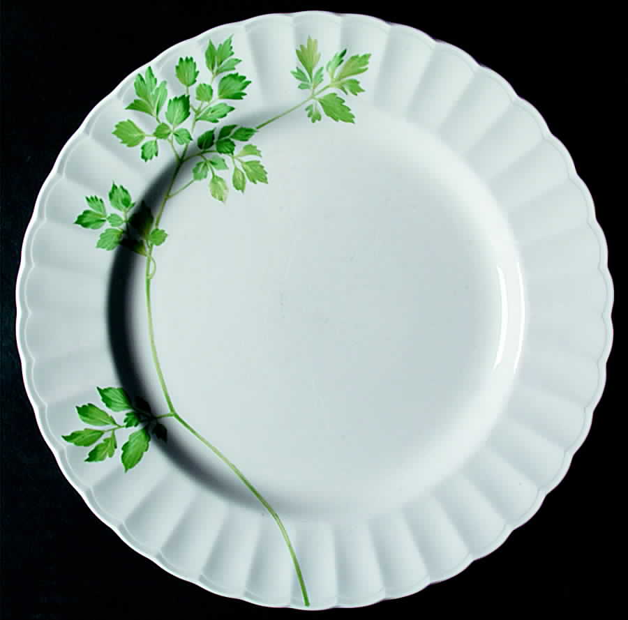 Parsley Hill Dinner Plate by Mikasa-1