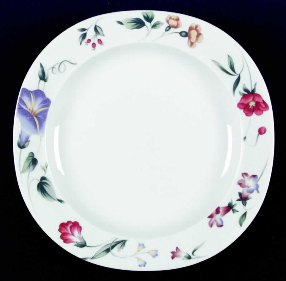 Parkview Dinner Plate by Mikasa-1