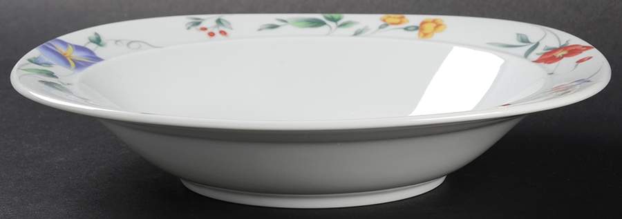 Parkview Rim Soup Bowl by Mikasa-1