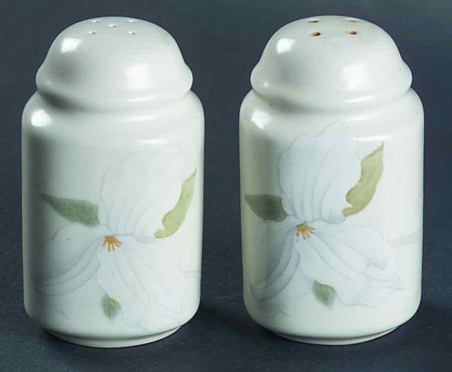 Perfect Pair Salt & Pepper Set by Mikasa-1