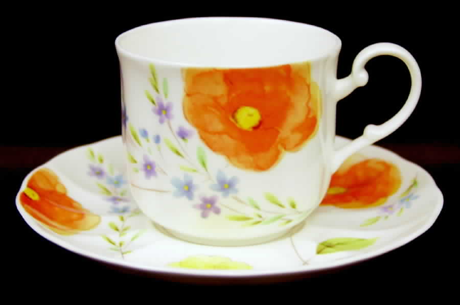 Poppy Love Flat Cup & Saucer Set by Mikasa-1