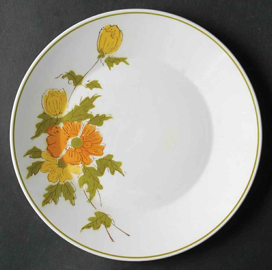 Ponte Vedra Salad Plate by Mikasa-1