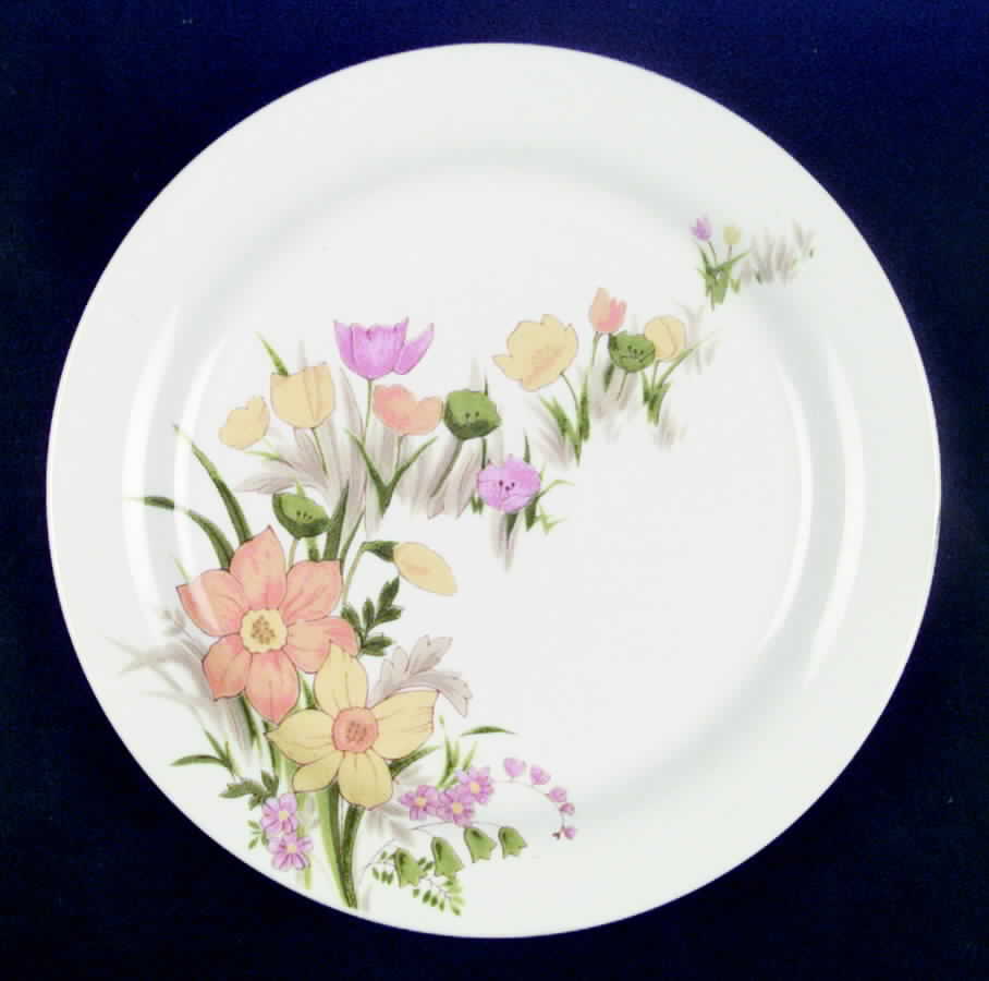 Promenade Dinner Plate by Mikasa-1