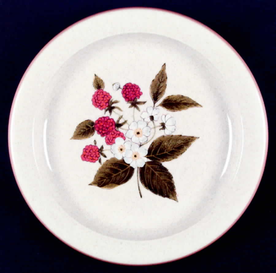 Raspberry Hill Dinner Plate by Mikasa-1