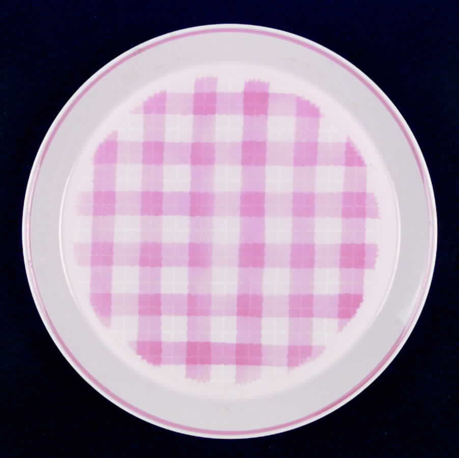 Raspberry Dinner Plate by Mikasa-1